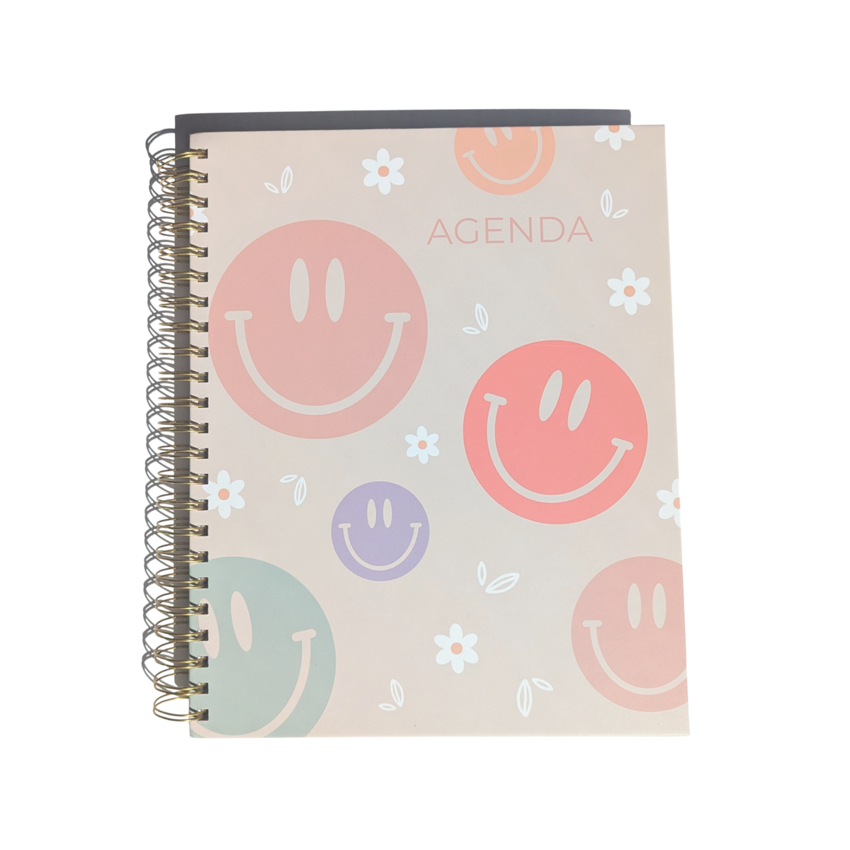 Agenda perpétuel Smiley (non-daté)