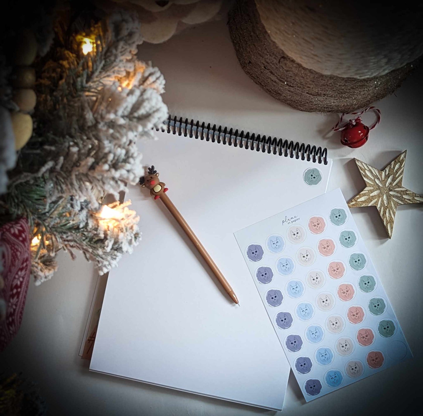 Stylos à encre noire de Noël